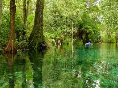Preview Silver Springs State Park