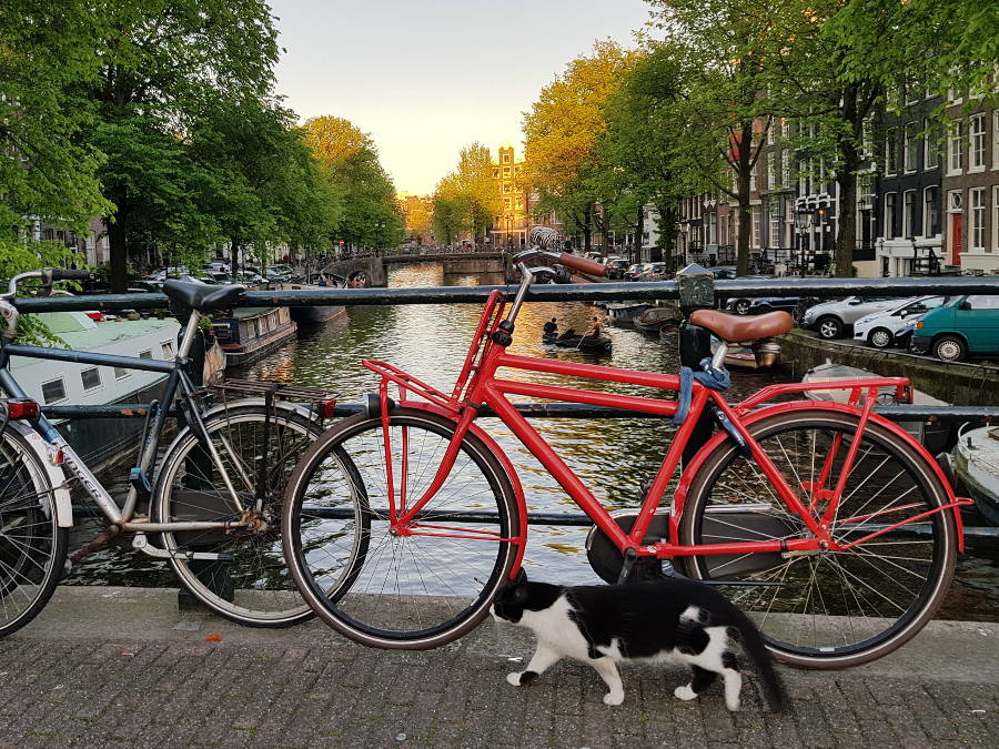 amsterdam fahrrad