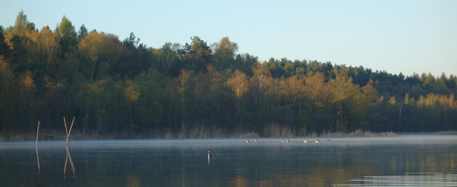 mecklenburg paddeltour