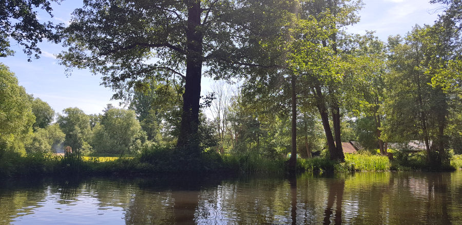 spreewald natur