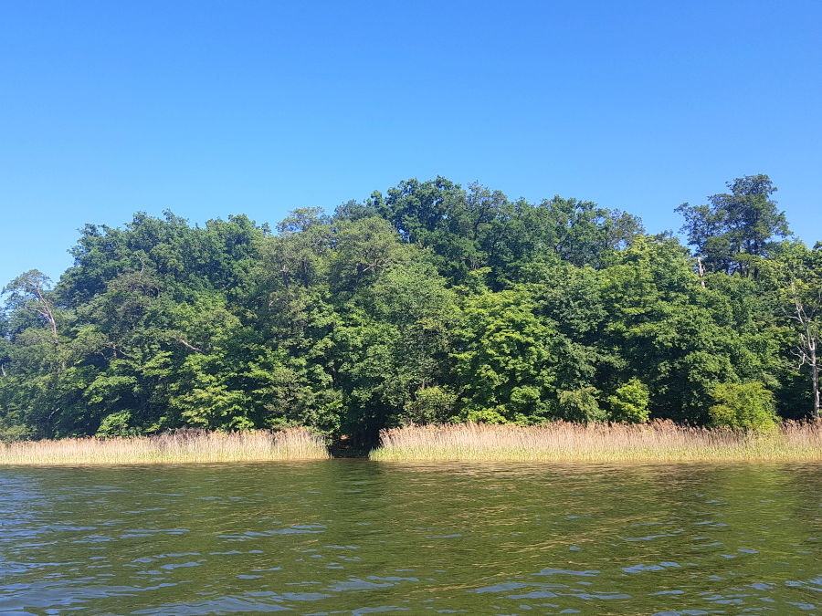 mecklenburgische seen kanufahren rheinsberg