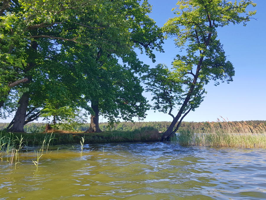 paddeltour ab rheinsberg