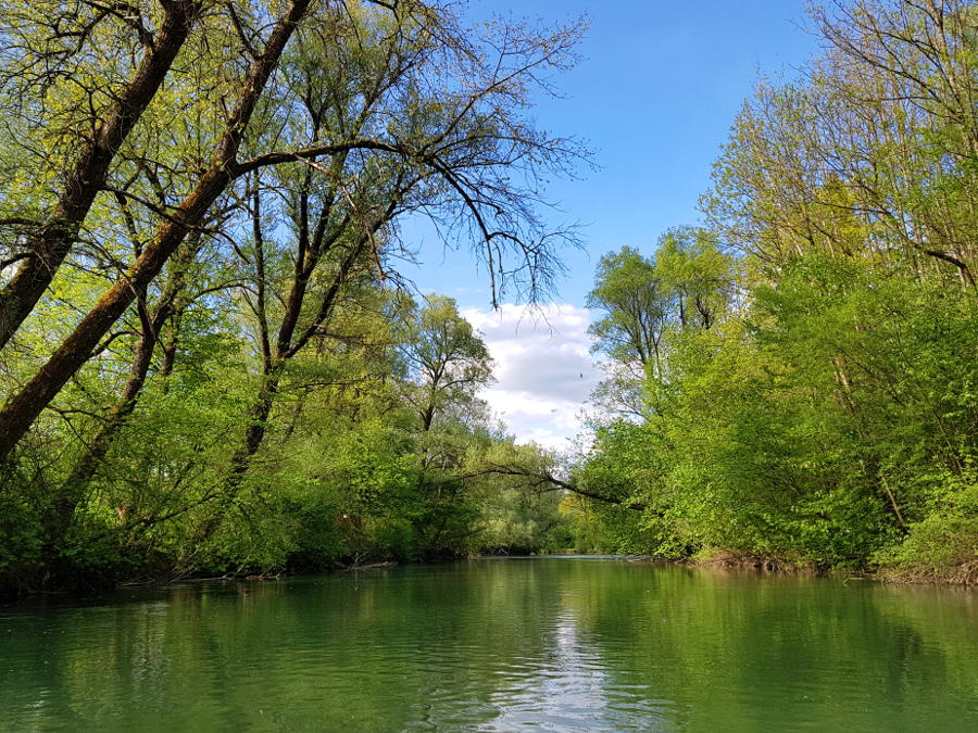 loisach_vor_wolfratshausen