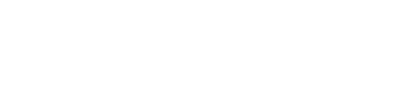 logo pv white small