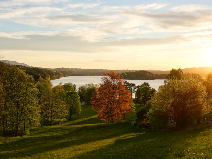 staffelsee bayern gewässer