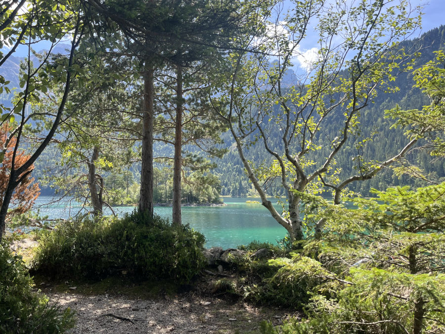 almbichl eibsee