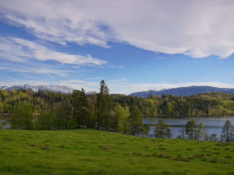 ausblick insel woerth staffelsee