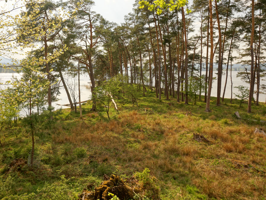 insel woerth staffelsee