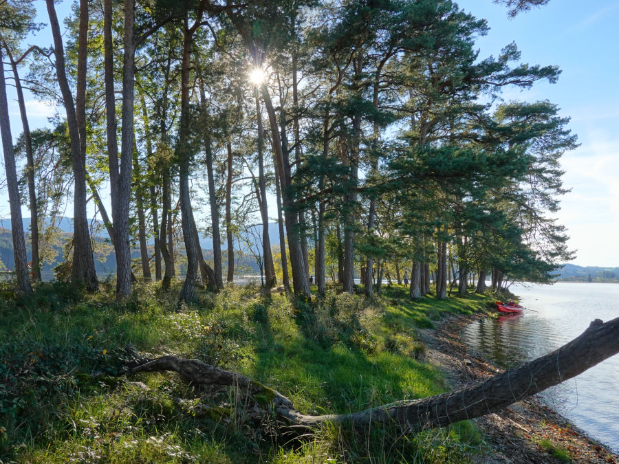 kajaktour insel woerth staffelsee